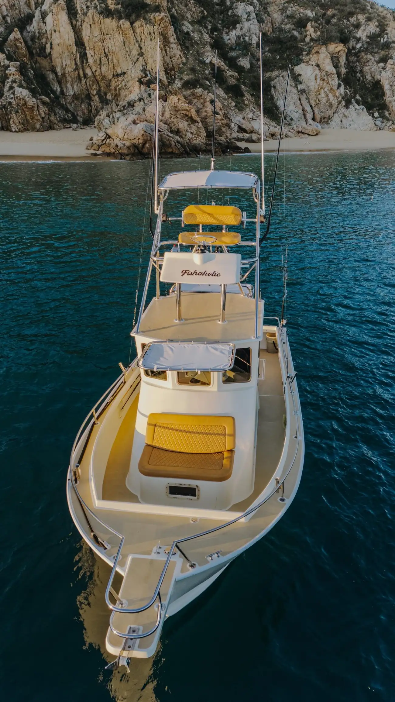 Fishaholic 28 ft Bertram — Cabo San Lucas fishing charter