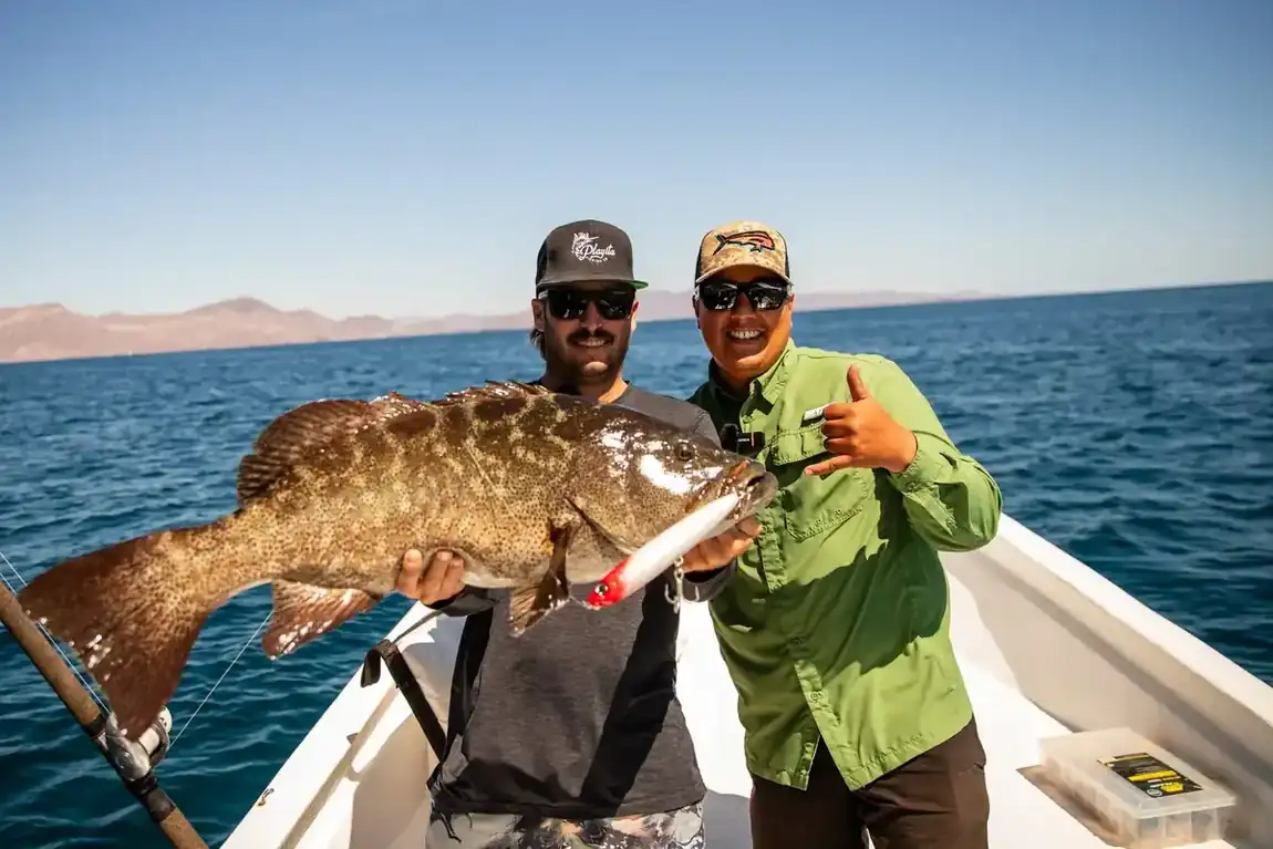 Grouper caught inshore off Los Cabos