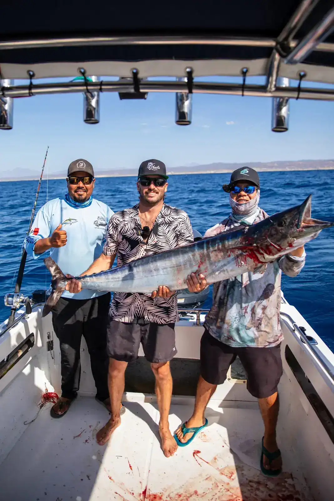 Striped marlin brought aboard off Los Cabos