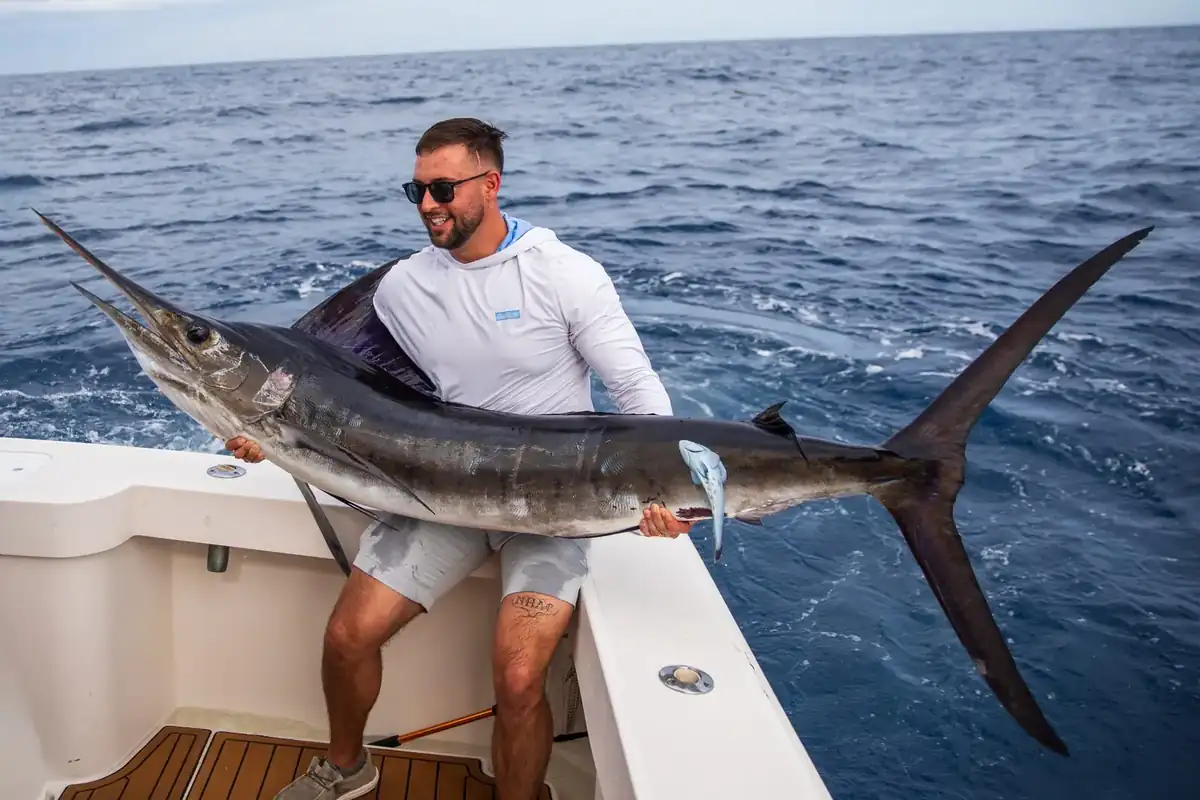 Striped marlin on the deck of a Los Cabos sportfisher