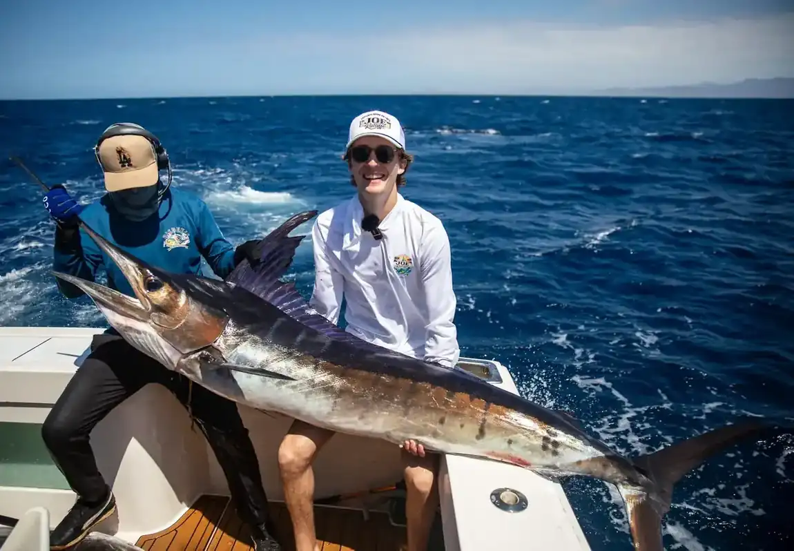 Striped marlin released boatside — Los Cabos sportfishing