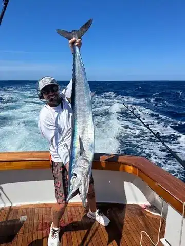 Wahoo caught off Los Cabos