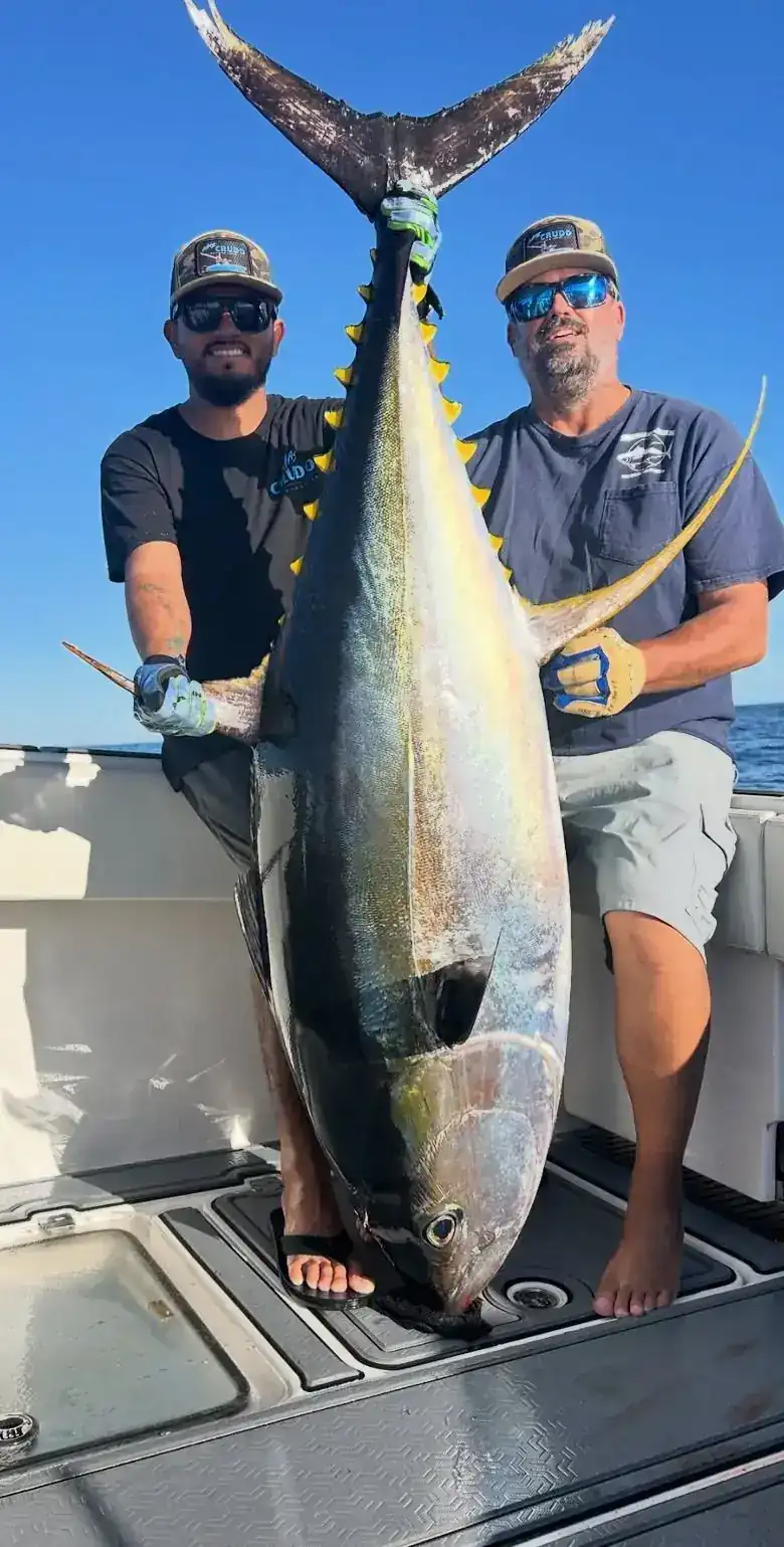 Two anglers with yellowfin tuna in Los Cabos