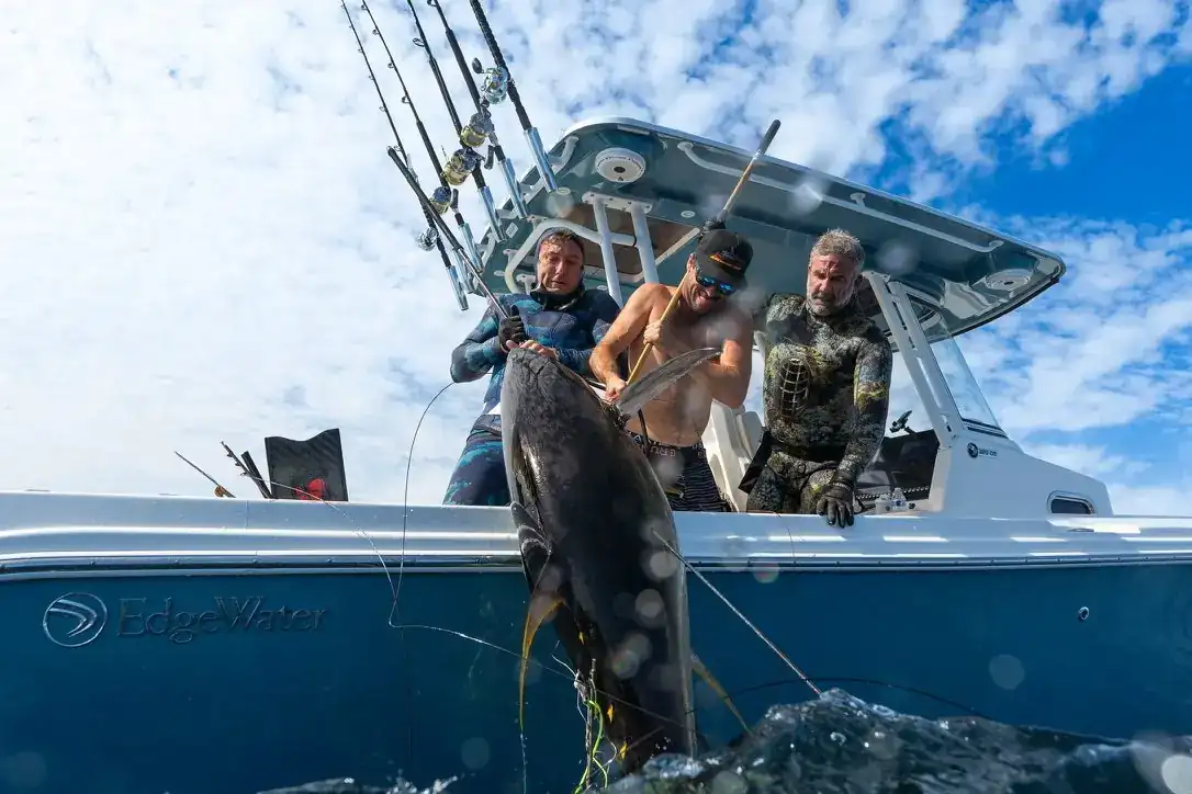 Yellowfin tuna caught out of Los Cabos