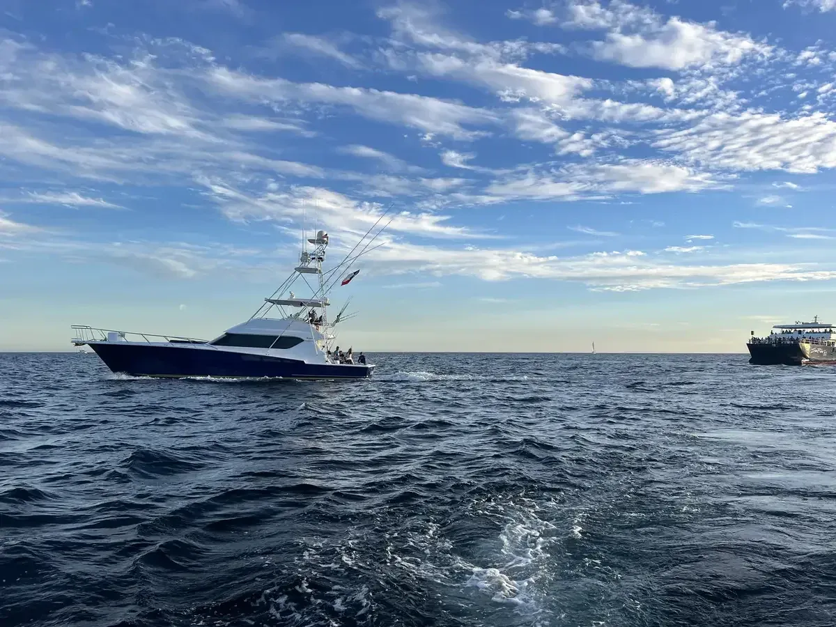 Lion Heart 60 ft Hatteras — Los Cabos fishing charter