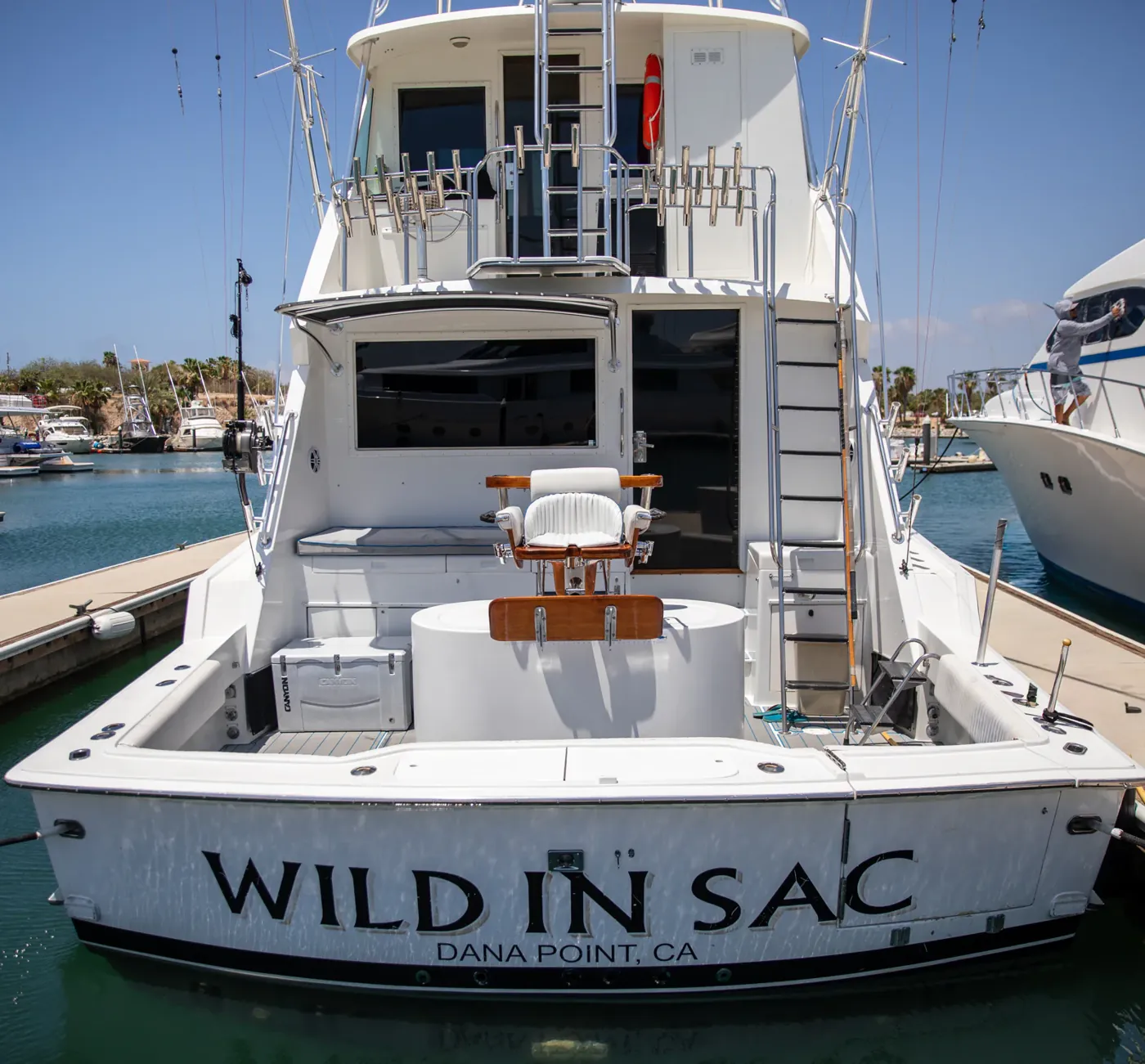 Wild in Sac 65 ft Hatteras — Los Cabos fishing charter