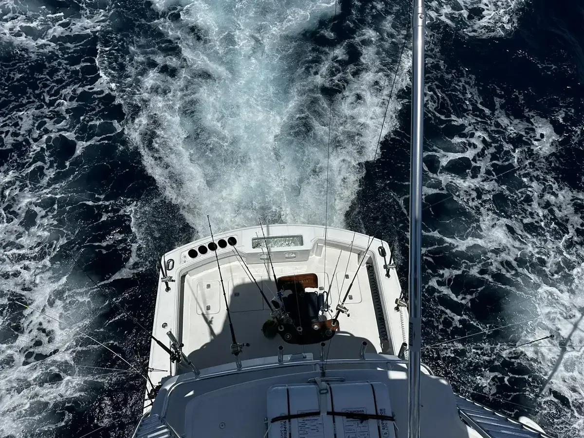 Lion Heart 60 ft Hatteras — Los Cabos fishing charter