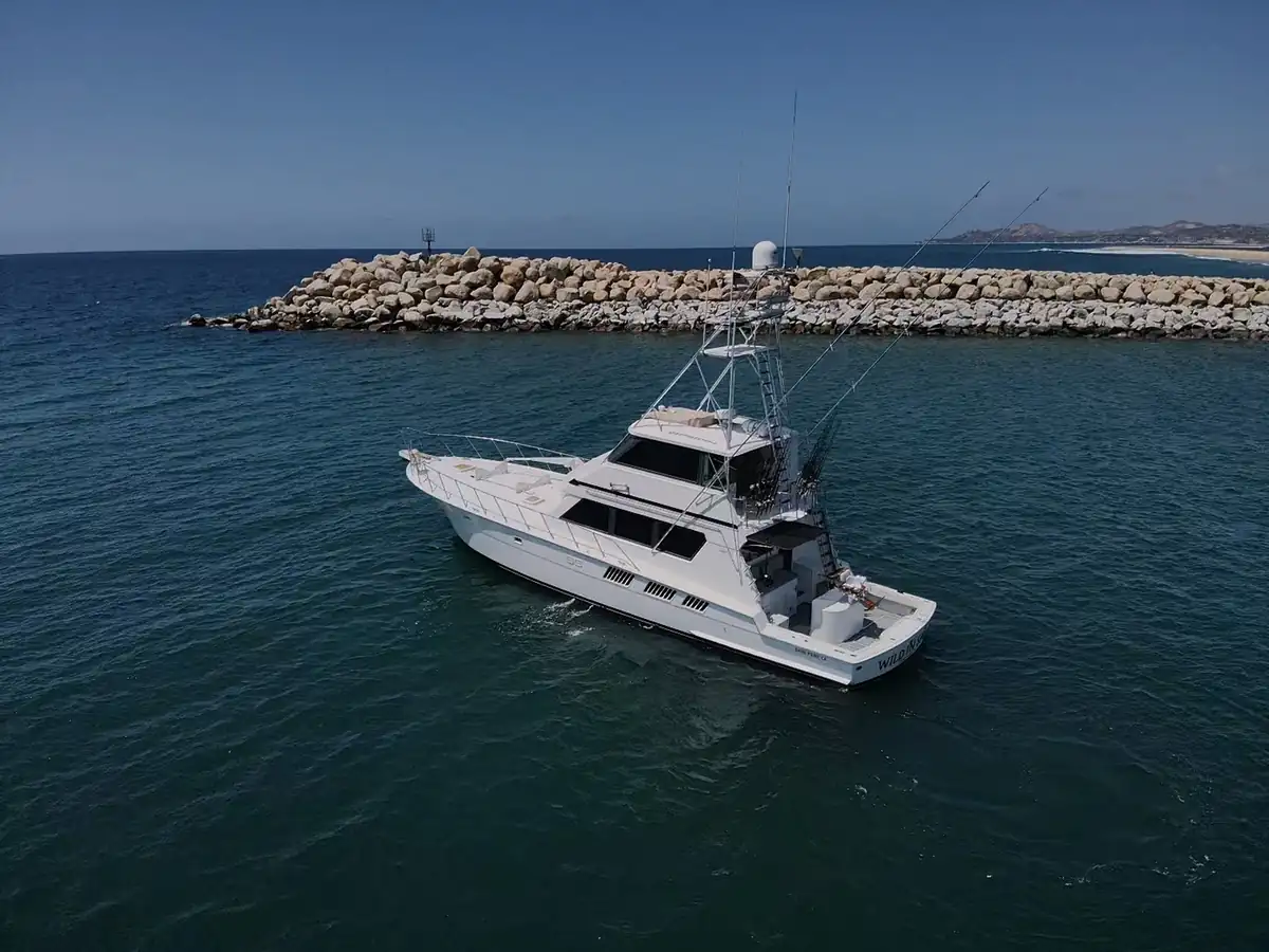 Wild in Sac 65 ft Hatteras — Los Cabos fishing charter