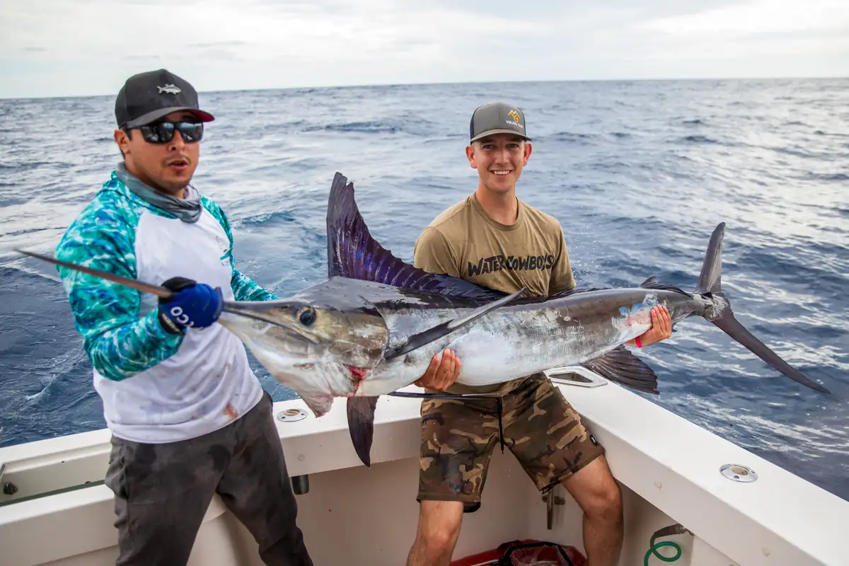 Tailchaser 48 ft Cabo Flybridge — Los Cabos fishing charter