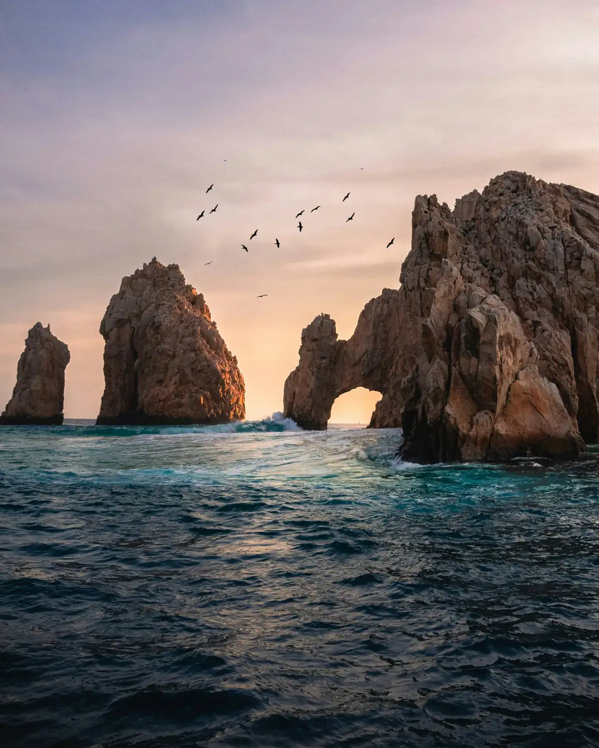 Los Cabos destination — Playita Fishing Co.