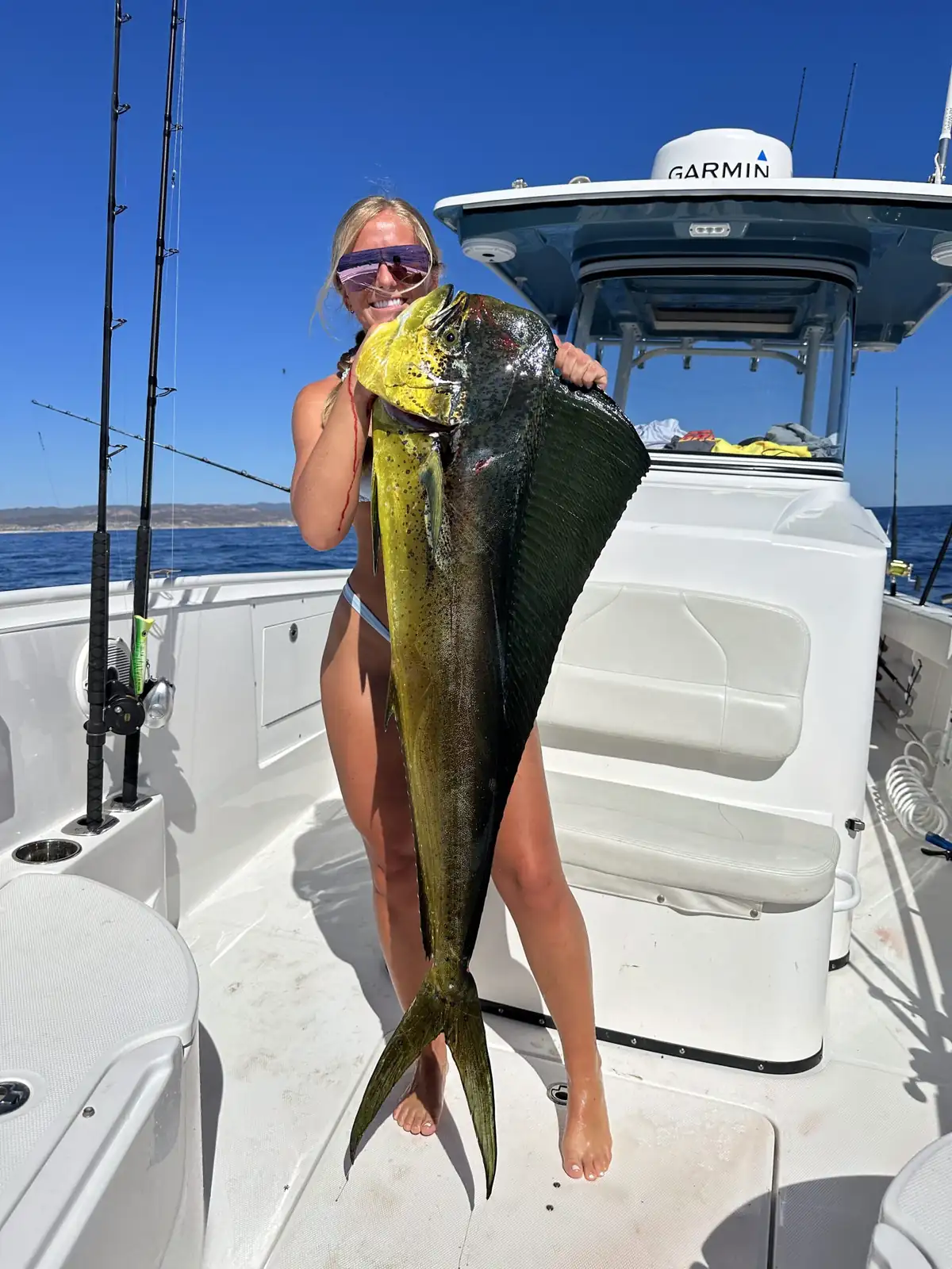 Dorado catch in the Sea of Cortez