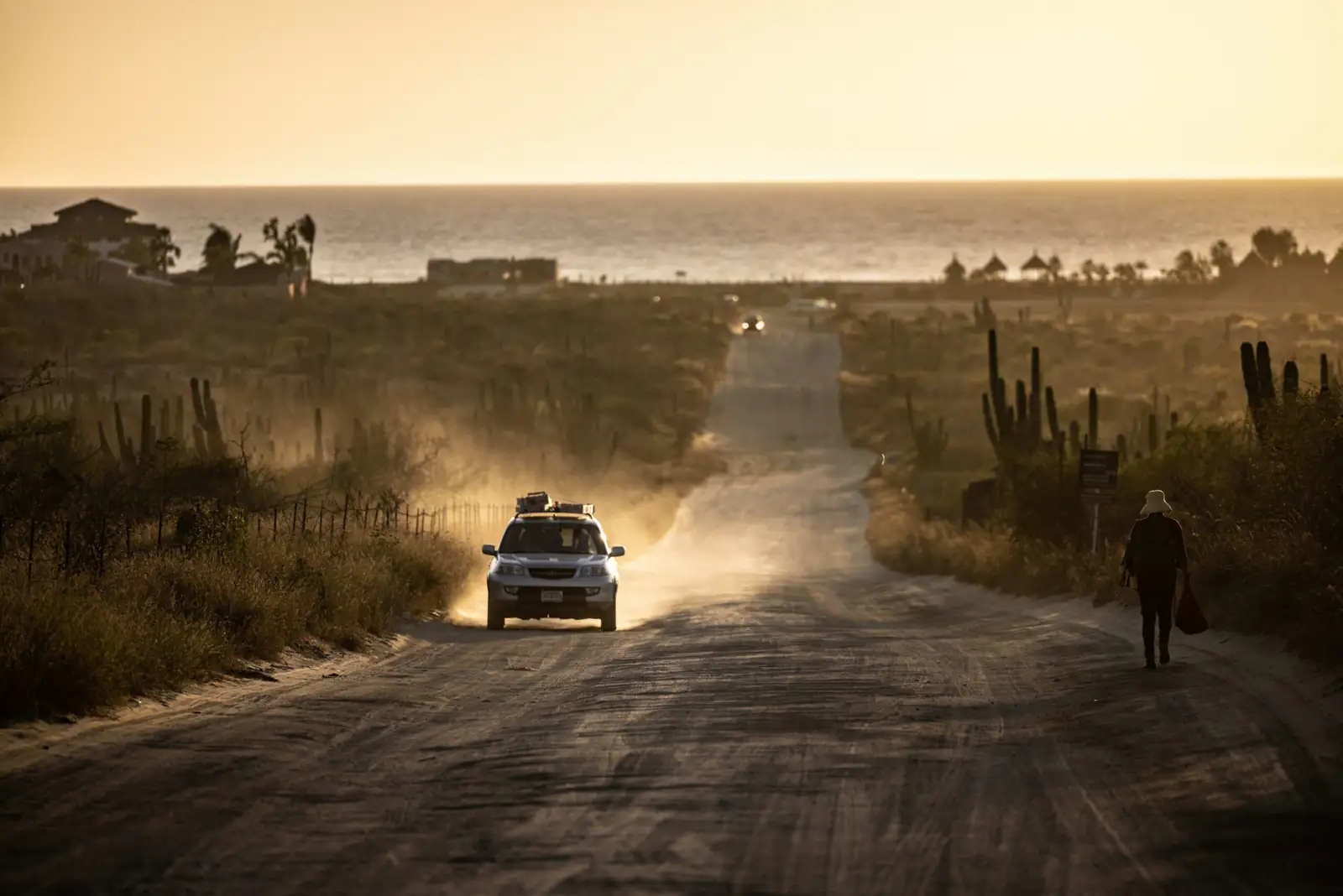 Los Cabos destination — Playita Fishing Co.