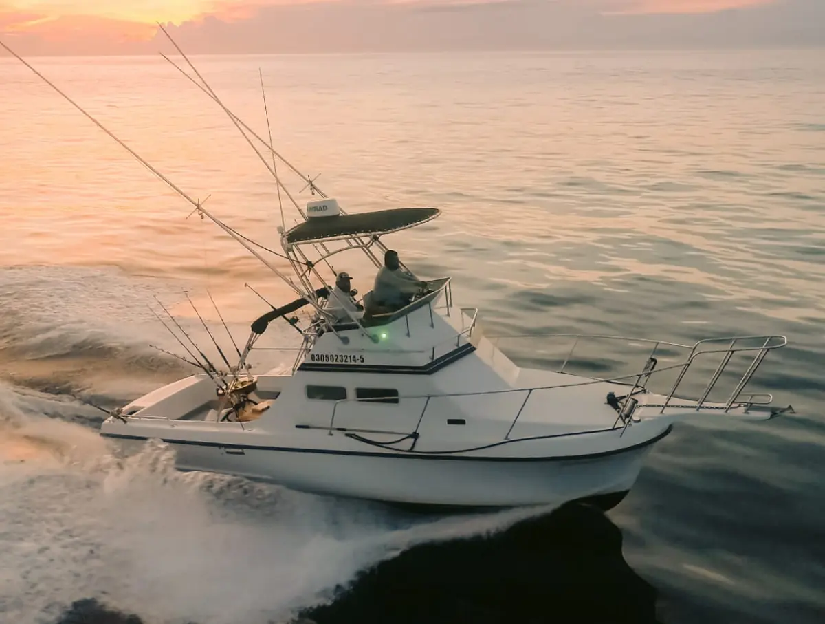 Peleador 1 28 ft Custom Cruiser — Cabo San Lucas fishing charter
