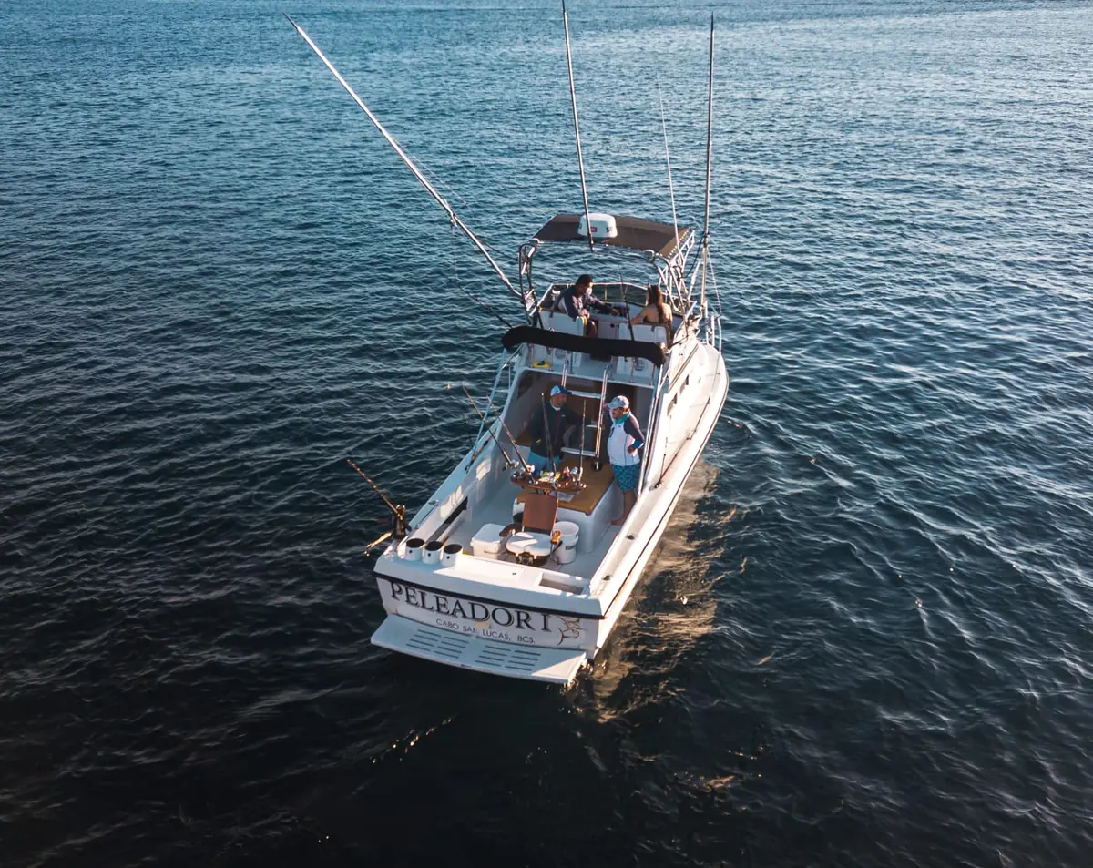 Peleador 1 28 ft Custom Cruiser — Cabo San Lucas fishing charter