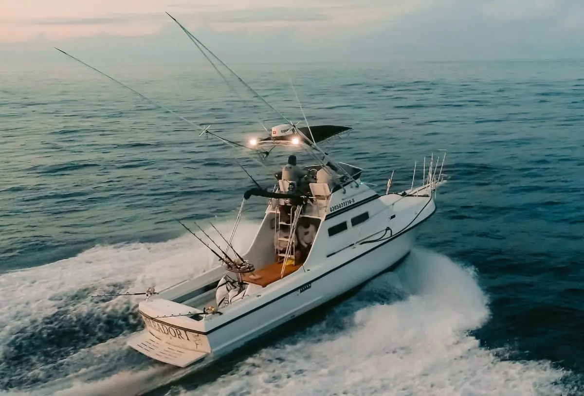 Peleador 1 28 ft Custom Cruiser — Cabo San Lucas fishing charter