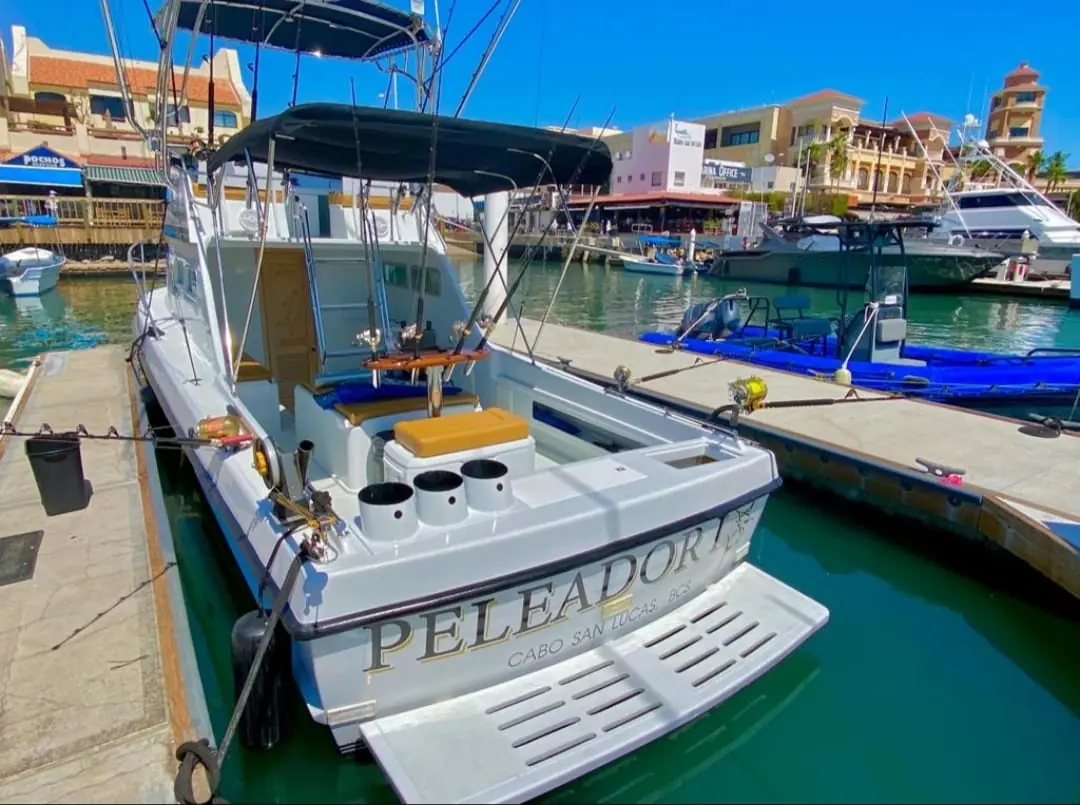 Peleador 1 28 ft Custom Cruiser — Cabo San Lucas fishing charter