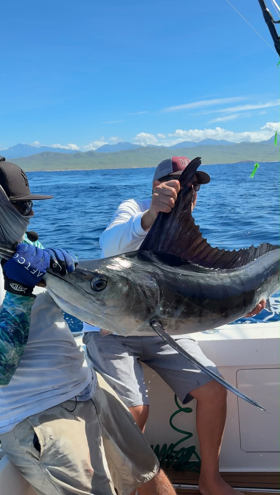 Anglers holding up a sailfish off Los Cabos