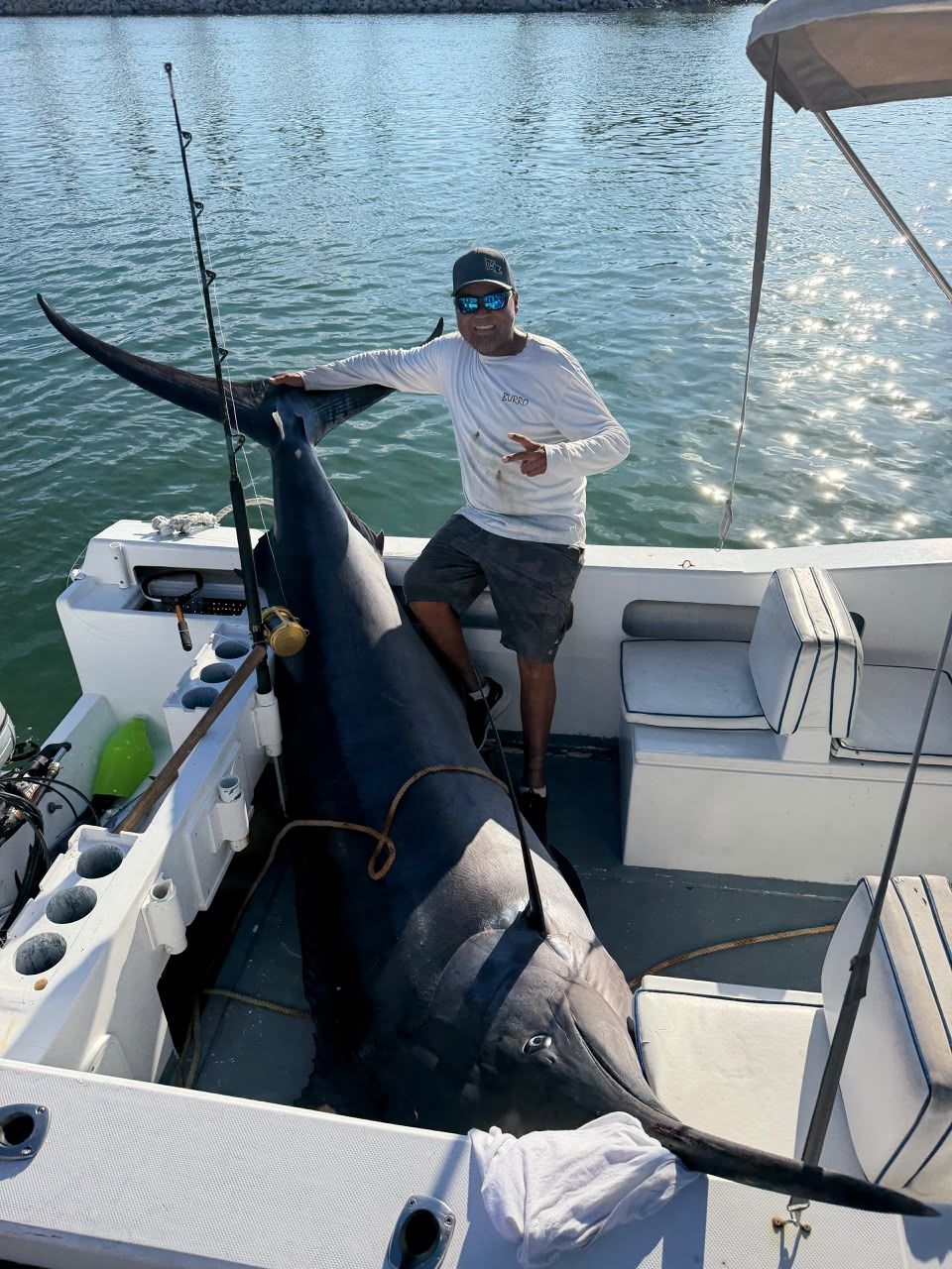 Large marlin aboard a panga
