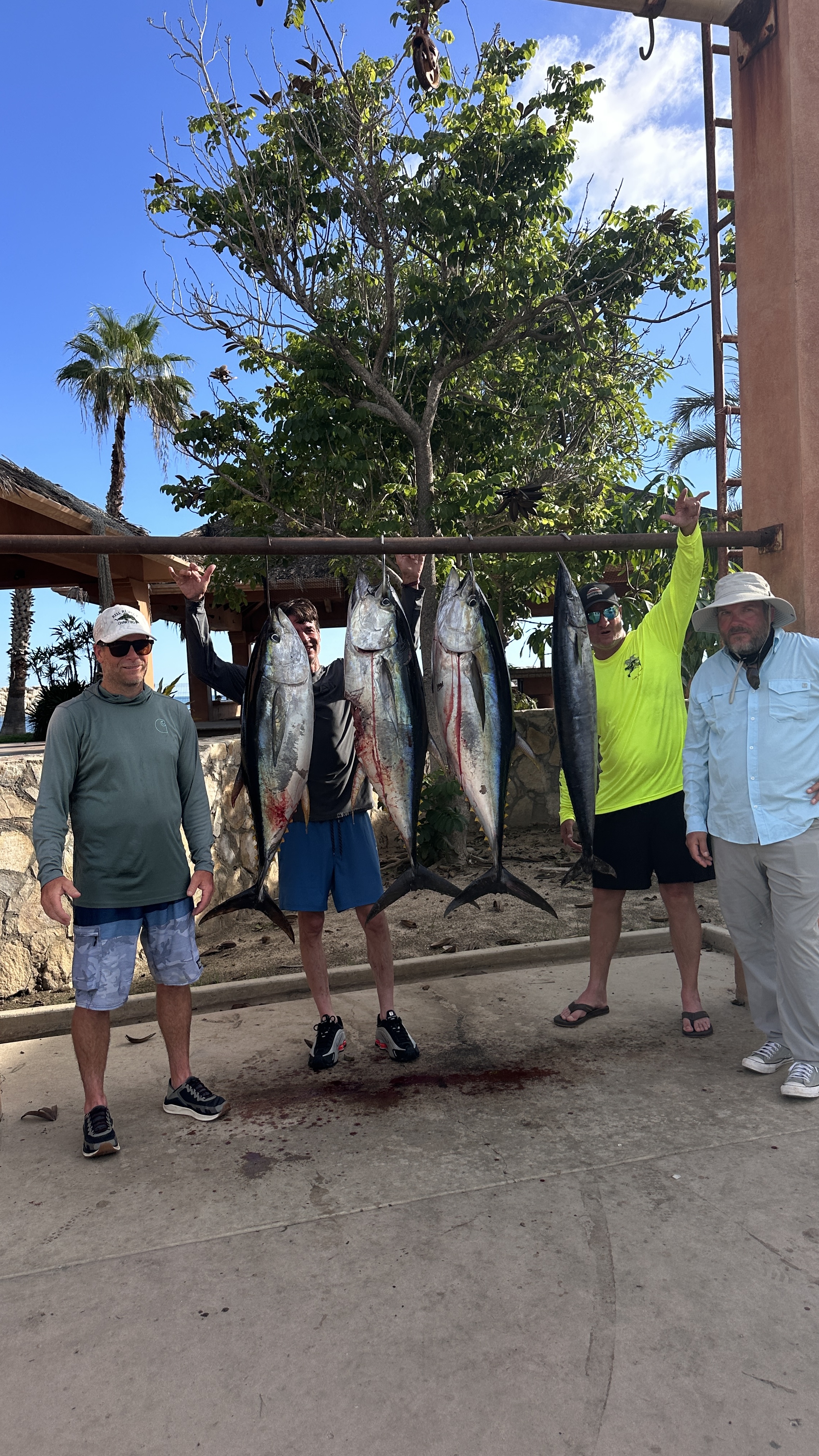 Anglers with tuna hanging on the scale rack